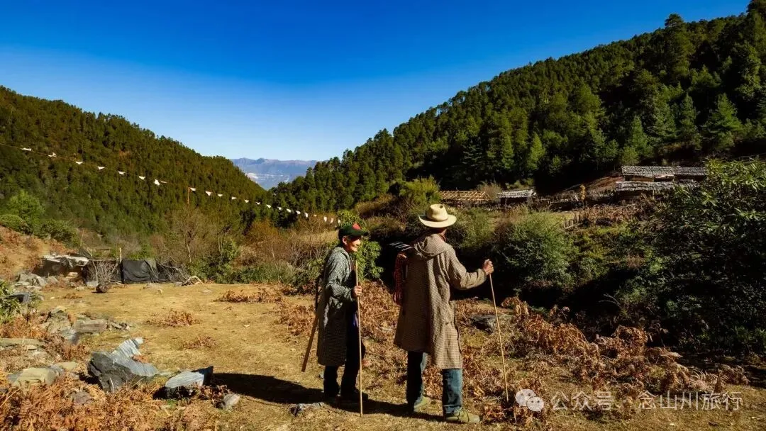一根竹棍，一双绿色胶鞋，70岁的他们就这样去爬山了 - 第12张