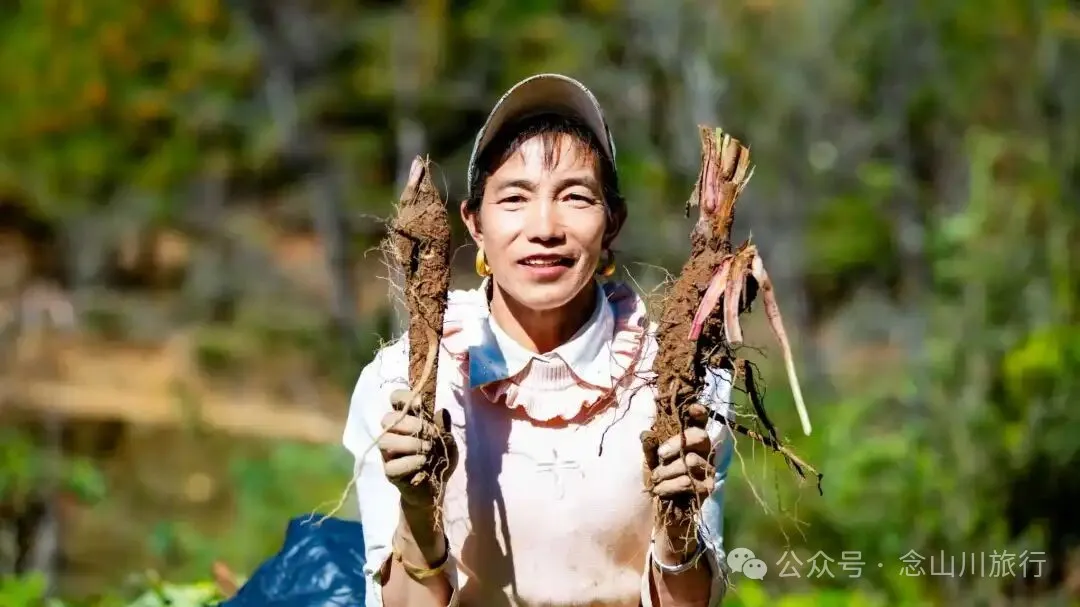 巴珠人物|坡布卓玛:婉转动听的歌声里唱出一部属于巴珠人自己的“诗经” - 第11张