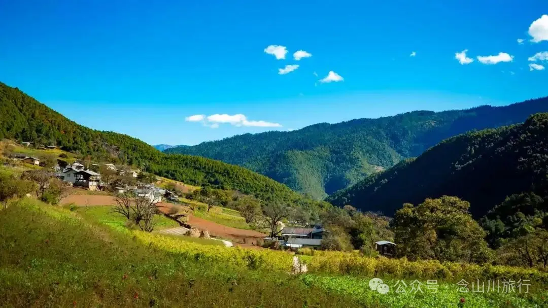 巴珠人物|坡布卓玛:婉转动听的歌声里唱出一部属于巴珠人自己的“诗经” - 第2张