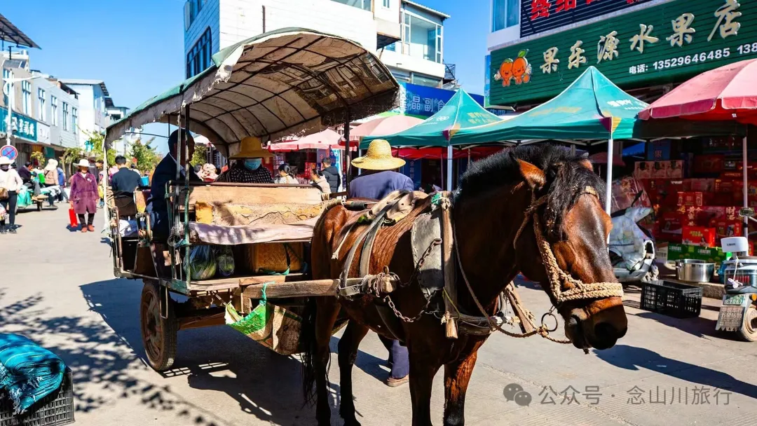 大理巍山廟街趕集|從下關坐車50公里趕來的大爺,就為了集市上的一頓大排檔 - 第1张