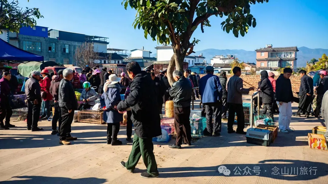 大理巍山廟街趕集|從下關坐車50公里趕來的大爺,就為了集市上的一頓大排檔 - 第18张