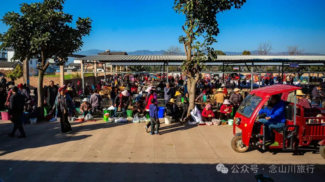大理巍山廟街趕集|從下關坐車50公里趕來的大爺,就為了集市上的一頓大排檔 - 第19张