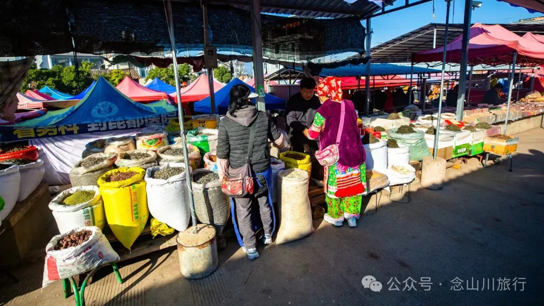 大理巍山廟街趕集|從下關坐車50公里趕來的大爺,就為了集市上的一頓大排檔 - 第4张