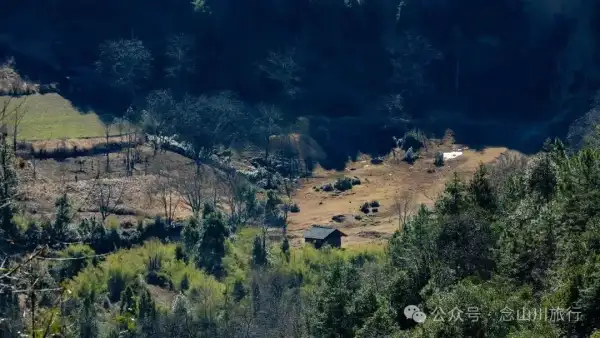 说主角是一个地名,整个山谷只有8户人家