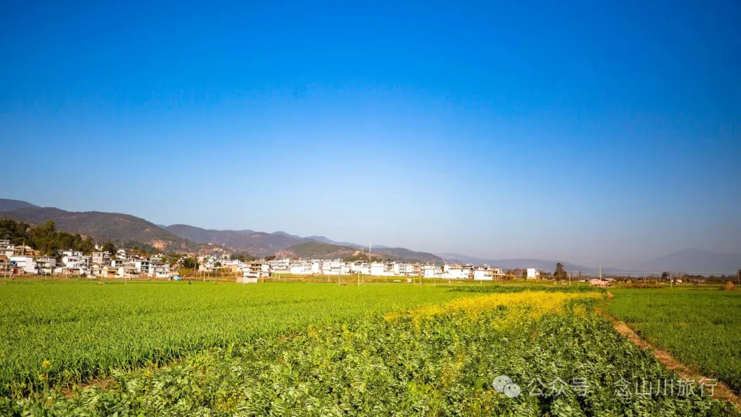 大理巍山南山村前的田园风光:冬日暖阳里萌动的春意 - 第5张