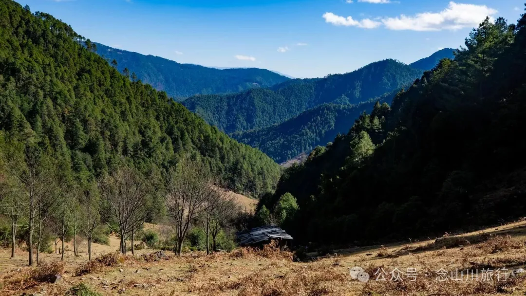叶久山川，没有黑熊，却有山神啜饮的痕迹 - 第11张