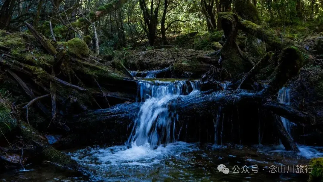 云南冬日，隐居山中：一条环线徒步的沉静旅程 - 第12张