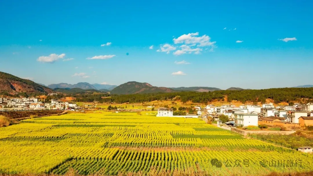 保山隆阳区丙麻乡油菜花|土夯小屋，远山淡烟，夕阳花田，这是谁的美好故乡呢 - 第1张