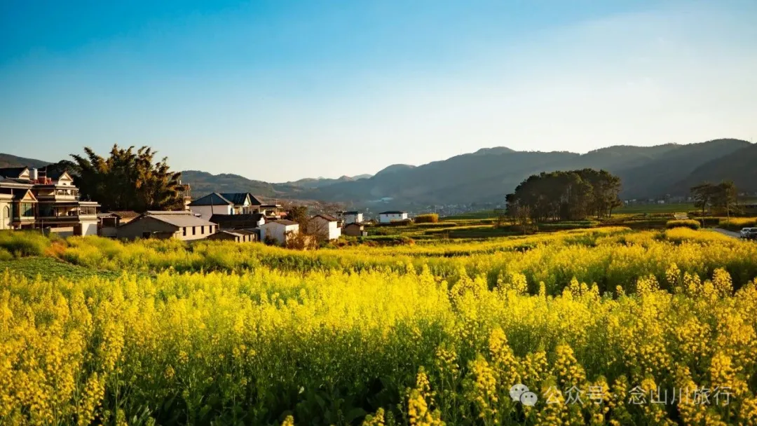 保山隆阳区丙麻乡油菜花|土夯小屋，远山淡烟，夕阳花田，这是谁的美好故乡呢 - 第11张