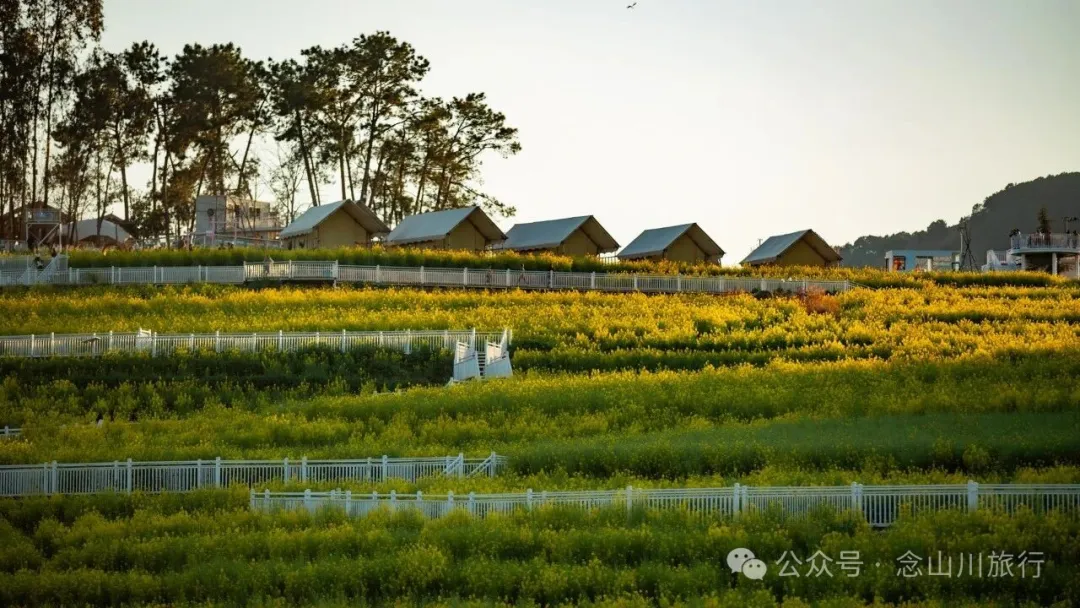 保山隆阳区丙麻乡油菜花|土夯小屋，远山淡烟，夕阳花田，这是谁的美好故乡呢 - 第15张