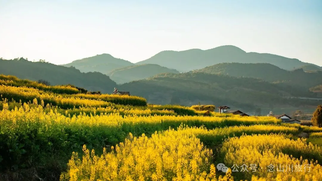 保山隆阳区丙麻乡油菜花|土夯小屋，远山淡烟，夕阳花田，这是谁的美好故乡呢 - 第19张