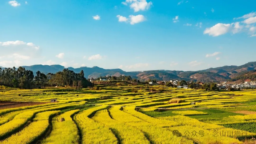 保山隆阳区丙麻乡油菜花|土夯小屋，远山淡烟，夕阳花田，这是谁的美好故乡呢 - 第2张