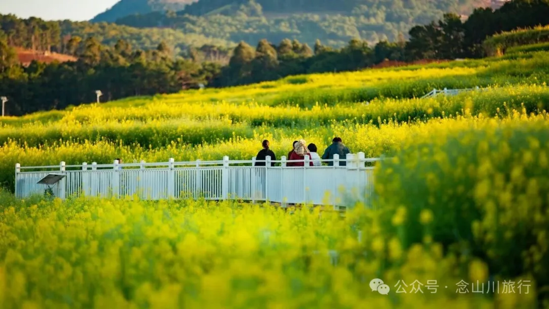 保山隆阳区丙麻乡油菜花|土夯小屋，远山淡烟，夕阳花田，这是谁的美好故乡呢 - 第4张