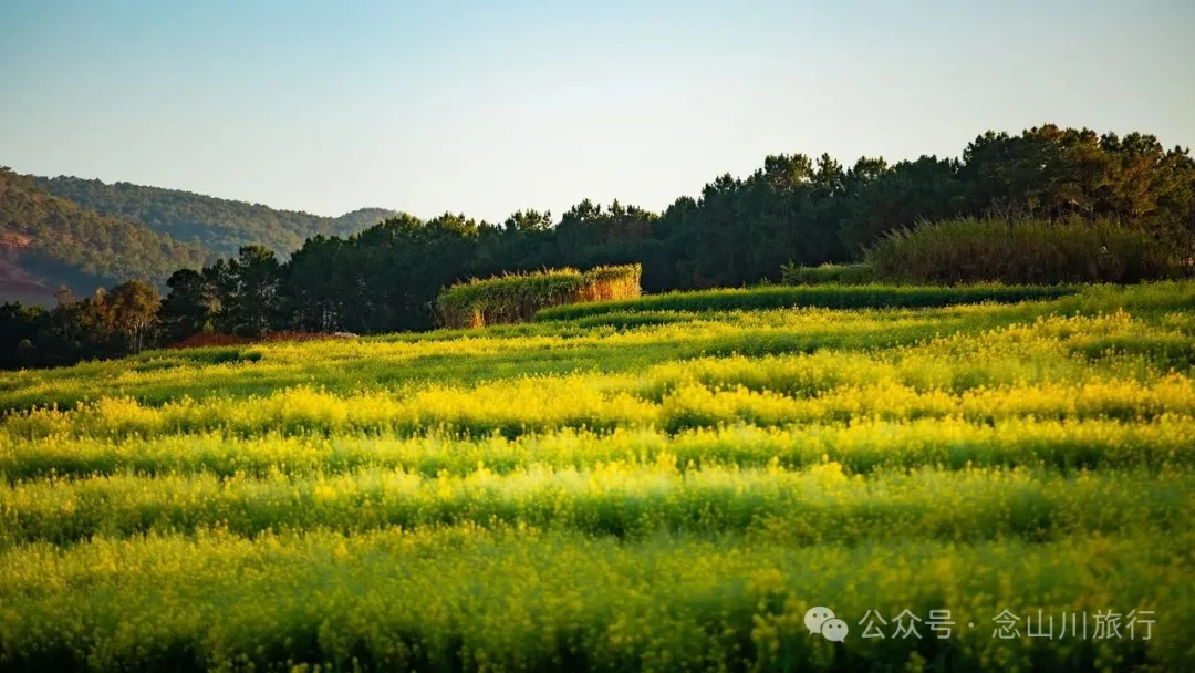 保山隆阳区丙麻乡油菜花|土夯小屋，远山淡烟，夕阳花田，这是谁的美好故乡呢 - 第5张