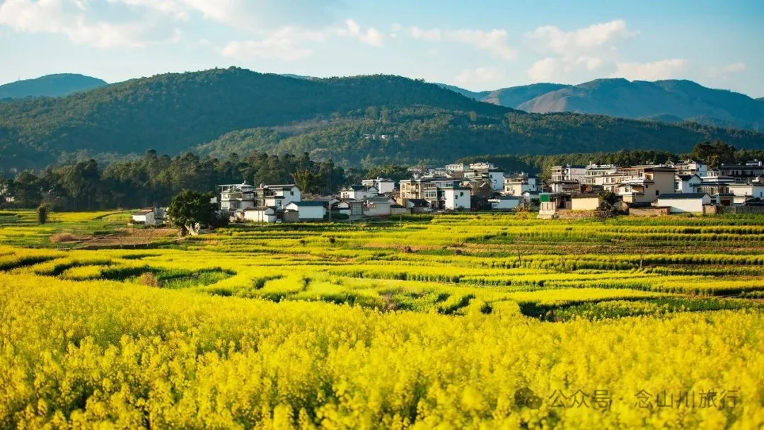 保山隆阳区丙麻乡油菜花|土夯小屋，远山淡烟，夕阳花田，这是谁的美好故乡呢 - 第6张