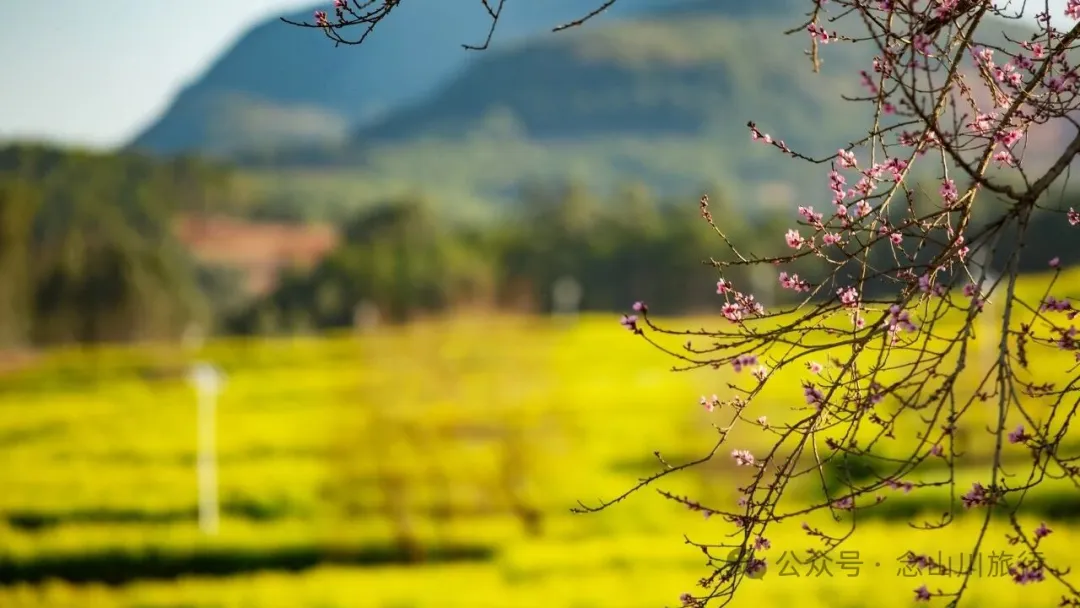 保山隆阳区丙麻乡油菜花|土夯小屋，远山淡烟，夕阳花田，这是谁的美好故乡呢 - 第7张