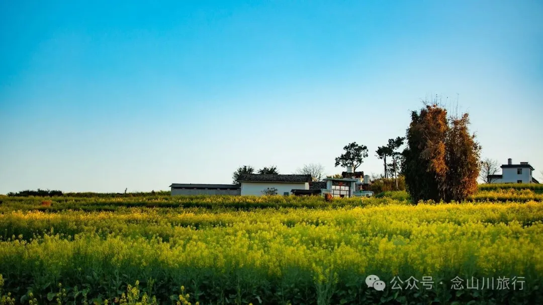 保山隆阳区丙麻乡油菜花|土夯小屋，远山淡烟，夕阳花田，这是谁的美好故乡呢 - 第9张