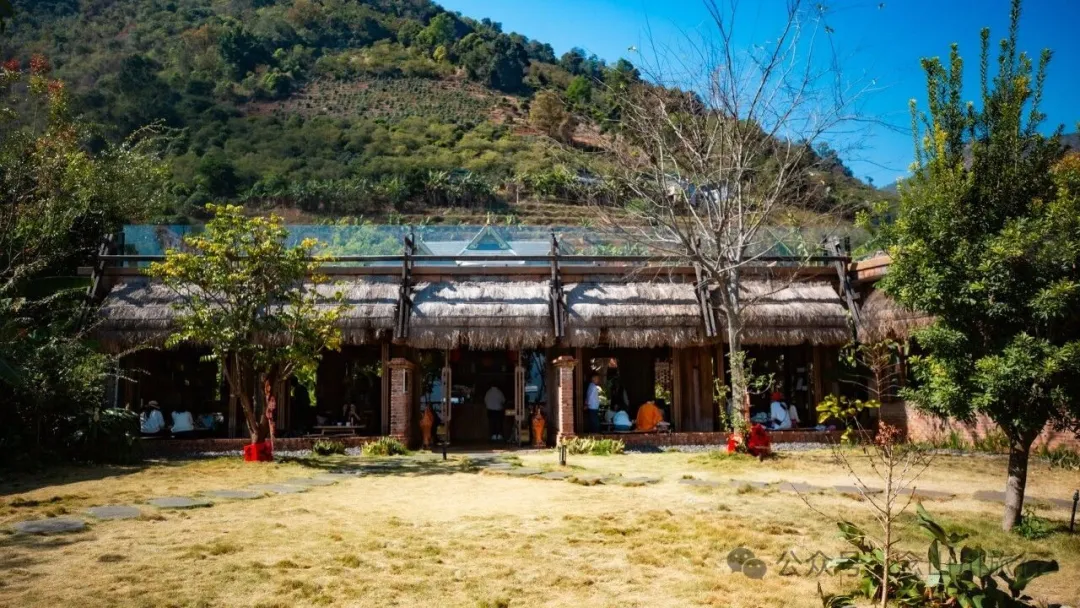 保山咖啡之旅：去高黎贡山间寻一片咖啡树的海洋，尽览潞江坝上风光 - 第11张