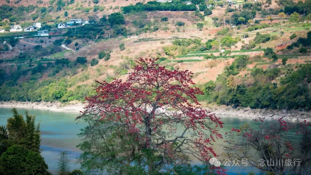 保山隆阳区潞江坝|寻找怒江边的木棉花与晨雾 - 第10张