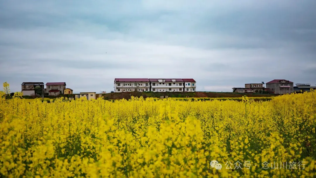 归乡之旅：从永修县城到九合乡饶家村，20公里长的河堤走不完40年乡愁 - 第4张
