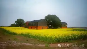 归乡之旅:从永修县城到九合乡饶家村,20公里长的河堤走不完40年乡愁