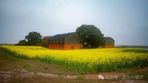 归乡之旅:从永修县城到九合乡饶家村,20公里长的河堤走不完40年乡愁