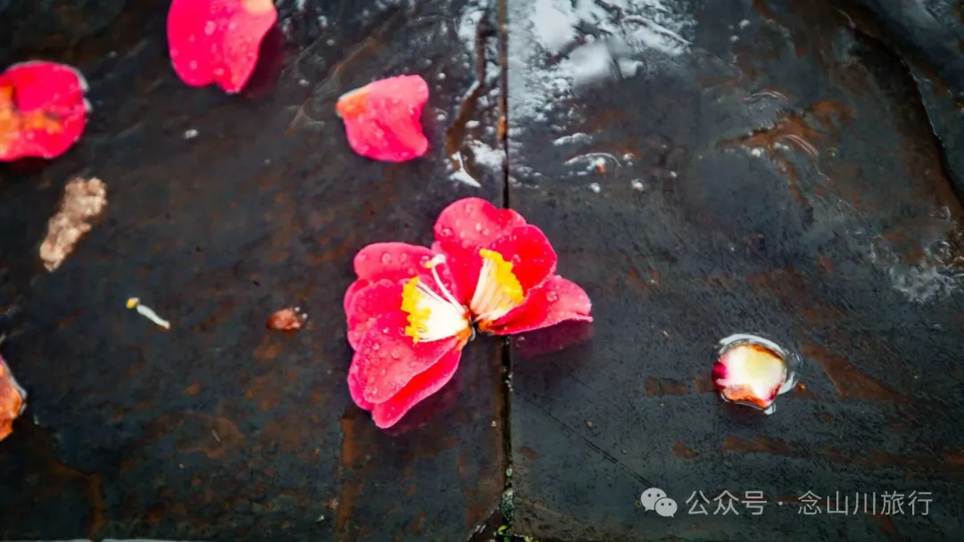 Yongxiu Notes: Oh My God, These Aren’t Junk, They’re Our Past Lives - Image 10