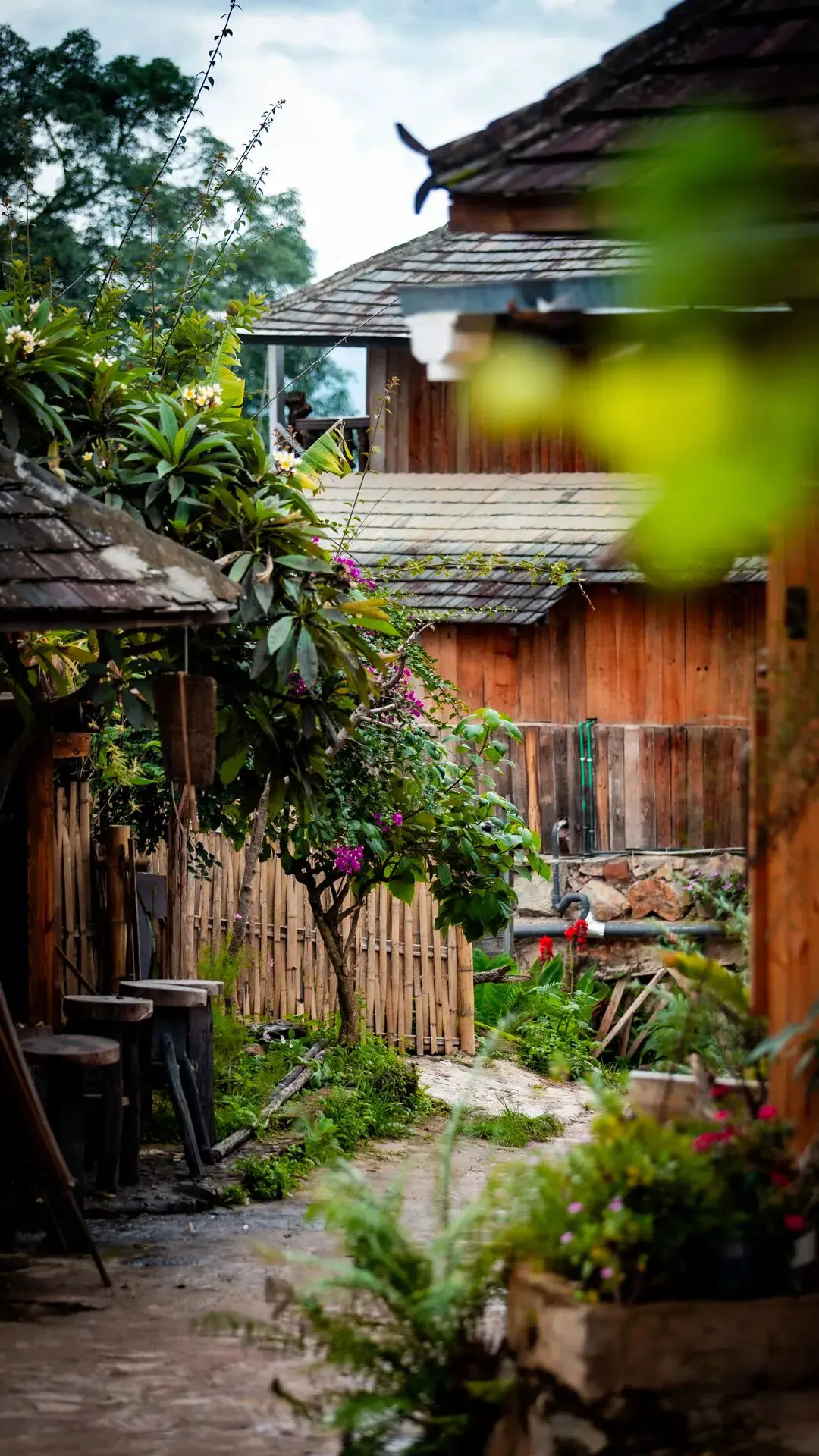 Puer Lancang Wengji Ancient Village: From Sea of Clouds to Cooking Smoke, the Rainy Season Ancient Village Hides the Blang People’s Last Deep Gaze - Image 18