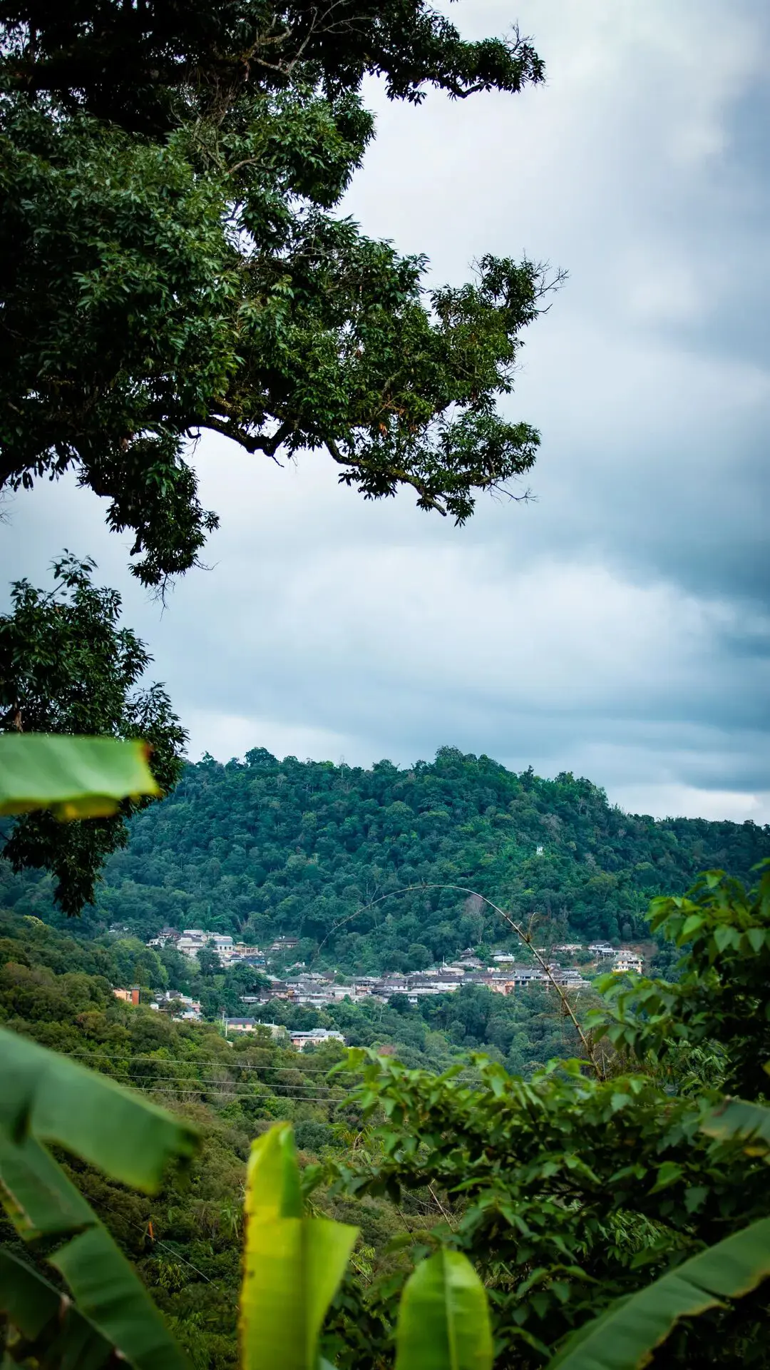 Puer Lancang Wengji Ancient Village: From Sea of Clouds to Cooking Smoke, the Rainy Season Ancient Village Hides the Blang People’s Last Deep Gaze - Image 20