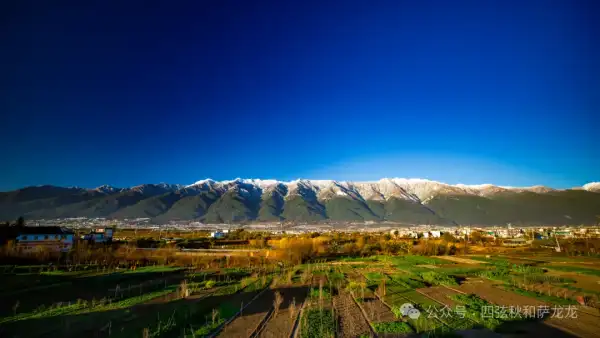 一对旅居大理的夫妻,花10年时间用镜头记录苍山的春夏秋冬