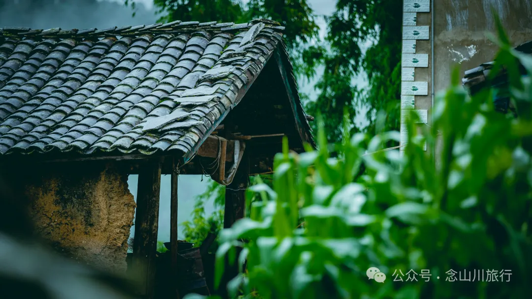 记得住乡愁,才能更好地追逐诗和远方|具有诺邓古村格局的大理南涧密比腊村流淌的浓浓乡愁 - 第21张 - 念山川旅行 记得住乡愁,才能更好地追逐诗和远方|具有诺邓古村格局的大理南涧密比腊村流淌的浓浓乡愁 - 第21张