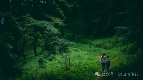 探索巍山古城20公里外的鸟道雄关:世界上最古老的“鸟道”带你穿越绿野仙踪的奇幻世界,只此青绿,满屏治愈