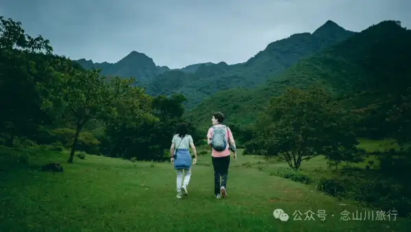 大理南涧无量山:览无量山景,制无量山茶,访无量古树,观无量飞鸟