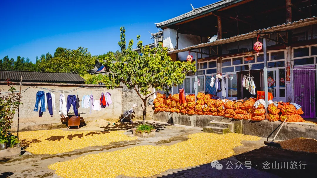 大理巍山大黄草坝:田园风光中的理想村落 - 第7张 - 念山川旅行 大理巍山大黄草坝:田园风光中的理想村落 - 第7张