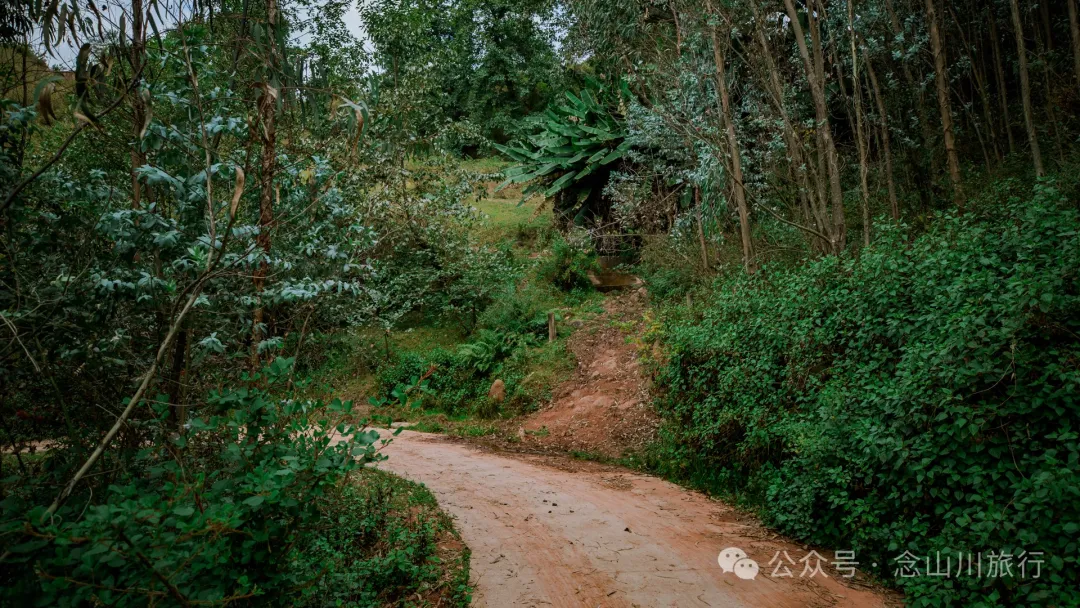 探访大理巍山小塘子黑龙潭(灵泉),两块清代石碑讲述一段环保历史 - 第4张 - 念山川旅行 探访大理巍山小塘子黑龙潭(灵泉),两块清代石碑讲述一段环保历史 - 第4张