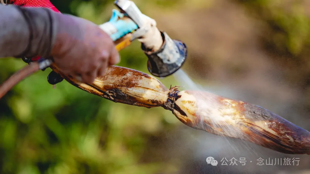 大理巍山双堆村:冬天藏在泥土里的收获(莲藕和茨菇) - 第11张 - 念山川旅行 大理巍山双堆村:冬天藏在泥土里的收获(莲藕和茨菇) - 第11张