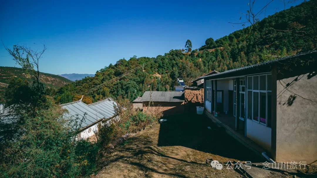 大理巍山小梯子坡村:神树守护下的宁谧村庄 - 第21张 - 念山川旅行 大理巍山小梯子坡村:神树守护下的宁谧村庄 - 第21张