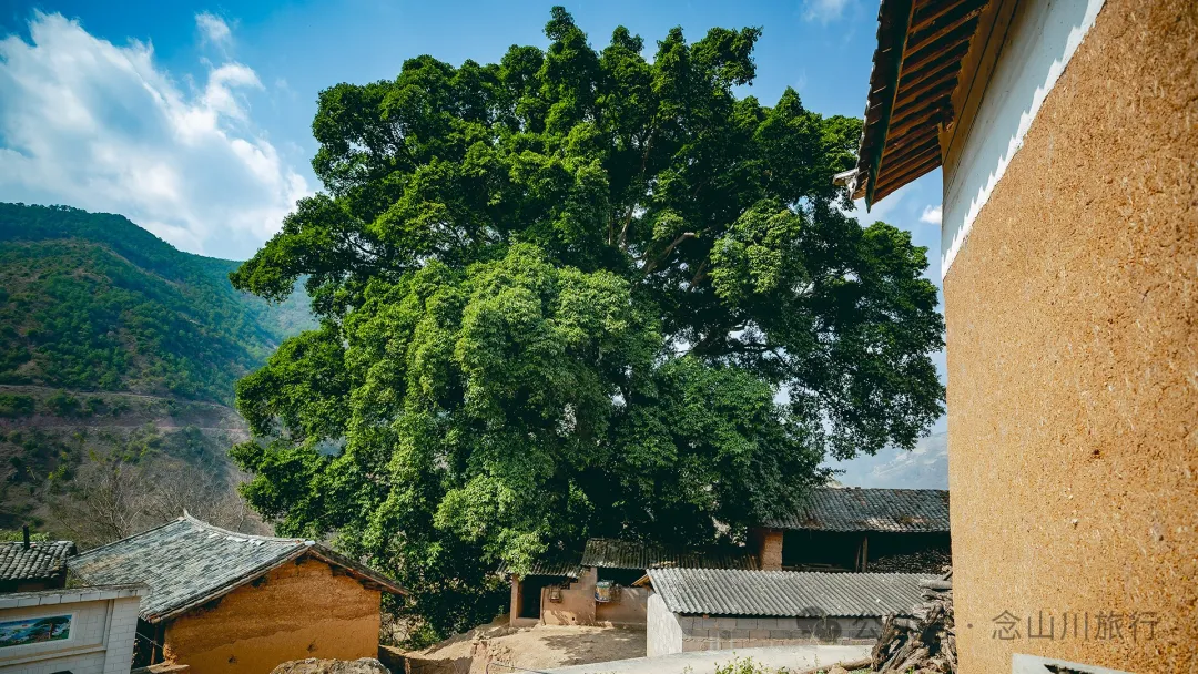 大理巍山牛鹿塘村:比远方更远的村庄,比想象更美的归处 - 第20张 - 念山川旅行 大理巍山牛鹿塘村:比远方更远的村庄,比想象更美的归处 - 第20张