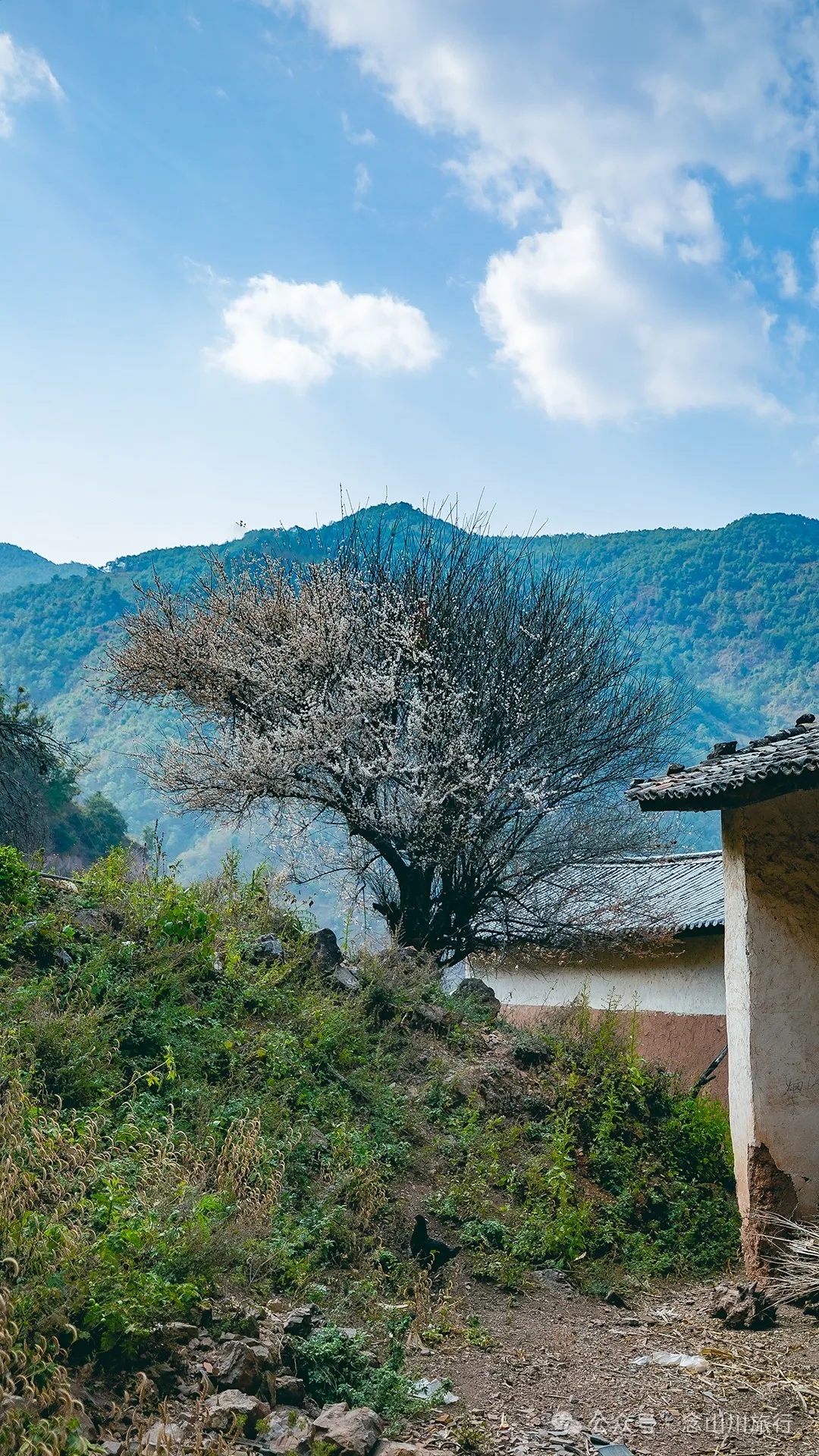 大理巍山牛鹿塘村:比远方更远的村庄,比想象更美的归处 - 第28张 - 念山川旅行 大理巍山牛鹿塘村:比远方更远的村庄,比想象更美的归处 - 第28张
