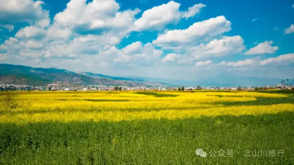 大理巍山庙街镇:万亩油菜花海,邂逅最浪漫的春天