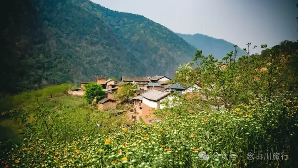 大理巍山五印乡麻栎树村:一树梨花一乡愁