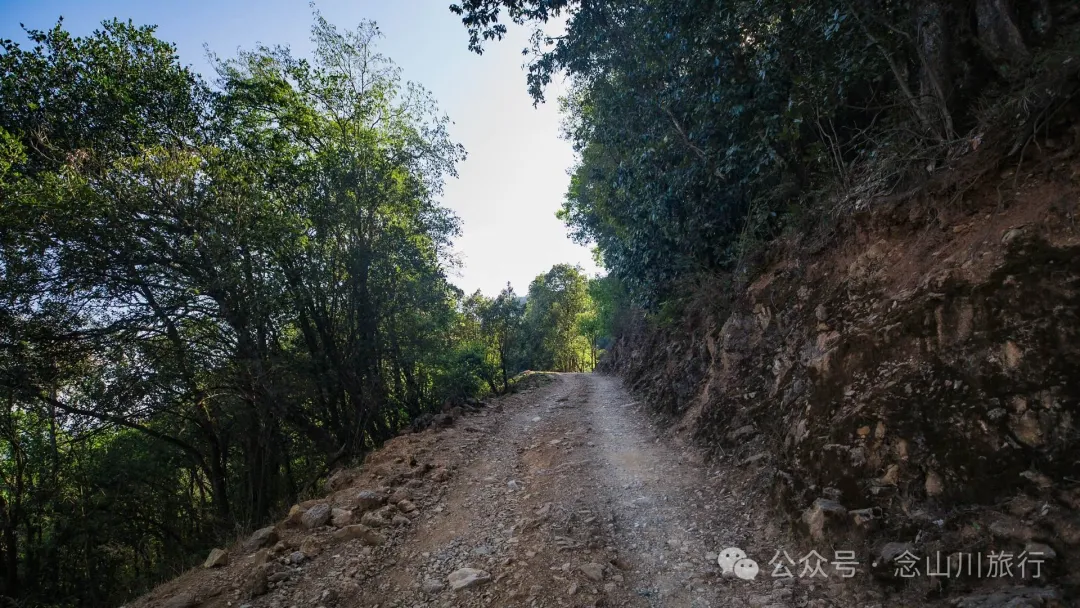 大理巍山马鞍山乡青云草甸:高山草甸上的石林奇景,自然的鬼斧神工 - 第6张 - 念山川旅行 大理巍山马鞍山乡青云草甸:高山草甸上的石林奇景,自然的鬼斧神工 - 第6张