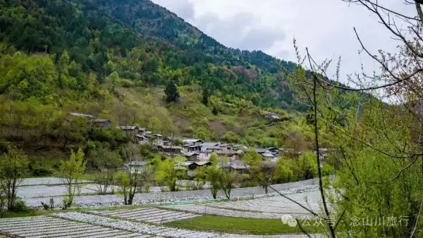 迪庆维西县塔城镇双加马村:腊普河边听一段退伍老兵的故事