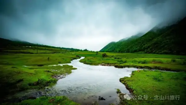 大理苍山大花甸坝:雨中徒步30公里,走进这片最美的高山草甸