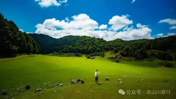 大理巍山青云草甸:海拔2600米绿浪的最美时刻,正在治愈10000种尘世焦虑