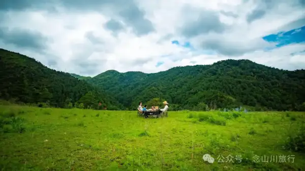 大理巍山凤山村森林草甸:离古城不远,却远离喧嚣,只有牛羊和牧人