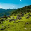 大理巍山橄榄坡：夕阳给这片雨后草甸镀金的限时美景，绿到心坎里