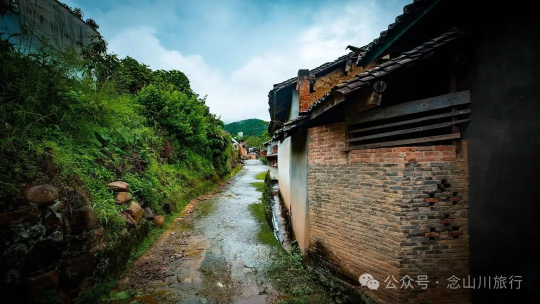 普洱景东大街镇三营村碱水组:哀牢山中茶叶与土陶写下的山野慢生活 - 第10张 - 念山川旅行 普洱景东大街镇三营村碱水组:哀牢山中茶叶与土陶写下的山野慢生活 - 第10张