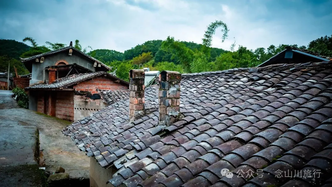 普洱景东大街镇三营村碱水组:哀牢山中茶叶与土陶写下的山野慢生活 - 第11张 - 念山川旅行 普洱景东大街镇三营村碱水组:哀牢山中茶叶与土陶写下的山野慢生活 - 第11张