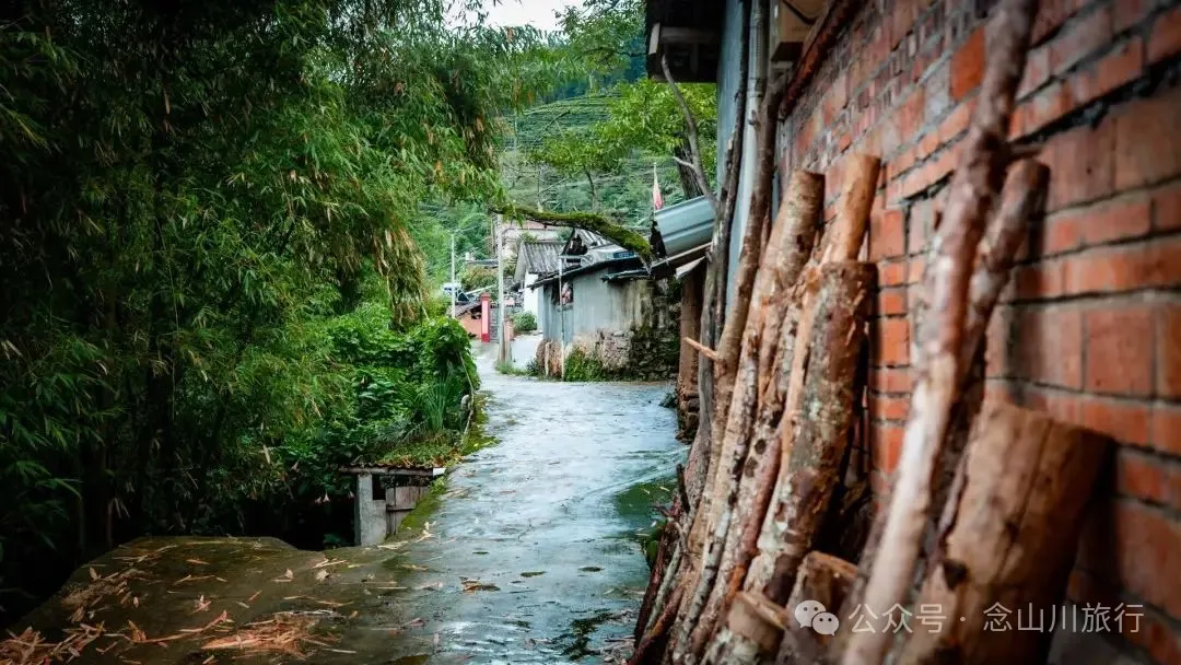 普洱景东大街镇三营村碱水组:哀牢山中茶叶与土陶写下的山野慢生活 - 第13张 - 念山川旅行 普洱景东大街镇三营村碱水组:哀牢山中茶叶与土陶写下的山野慢生活 - 第13张